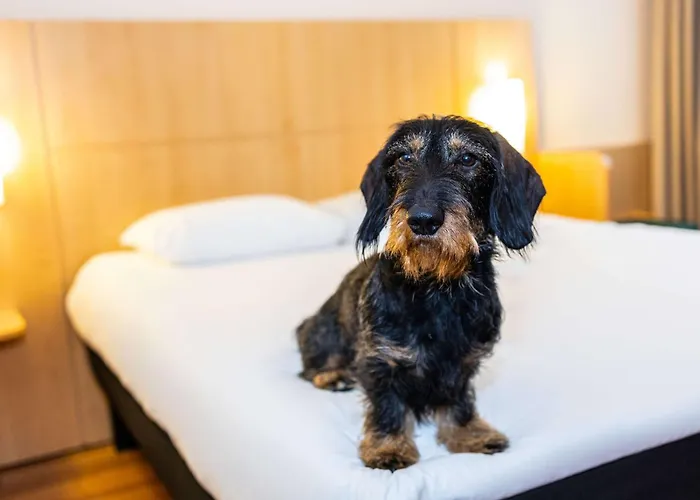 Ibis Antwerpen Centrum